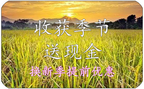 终端活动