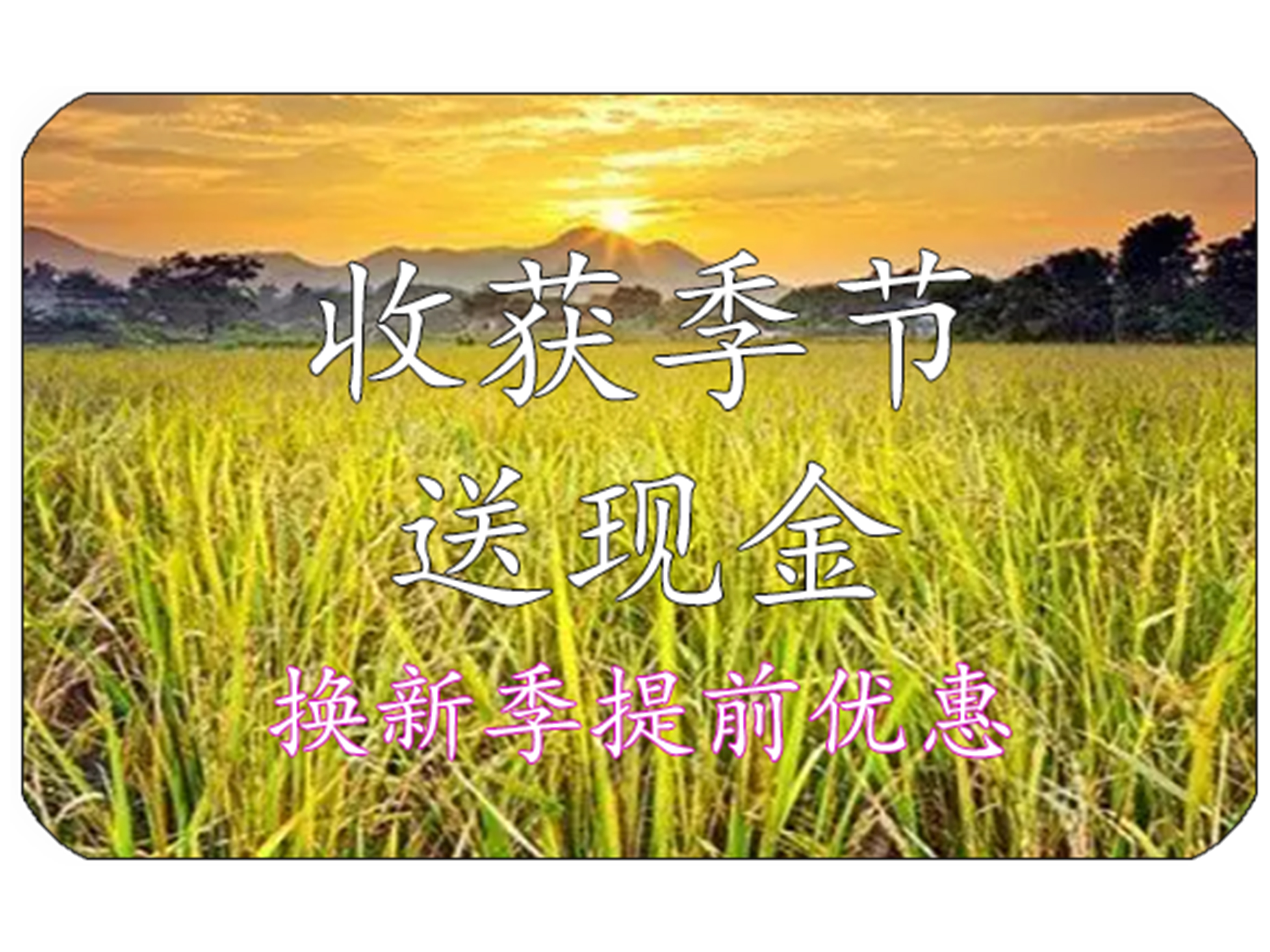 2023年第四季最新优惠活动（本活动已结束）
